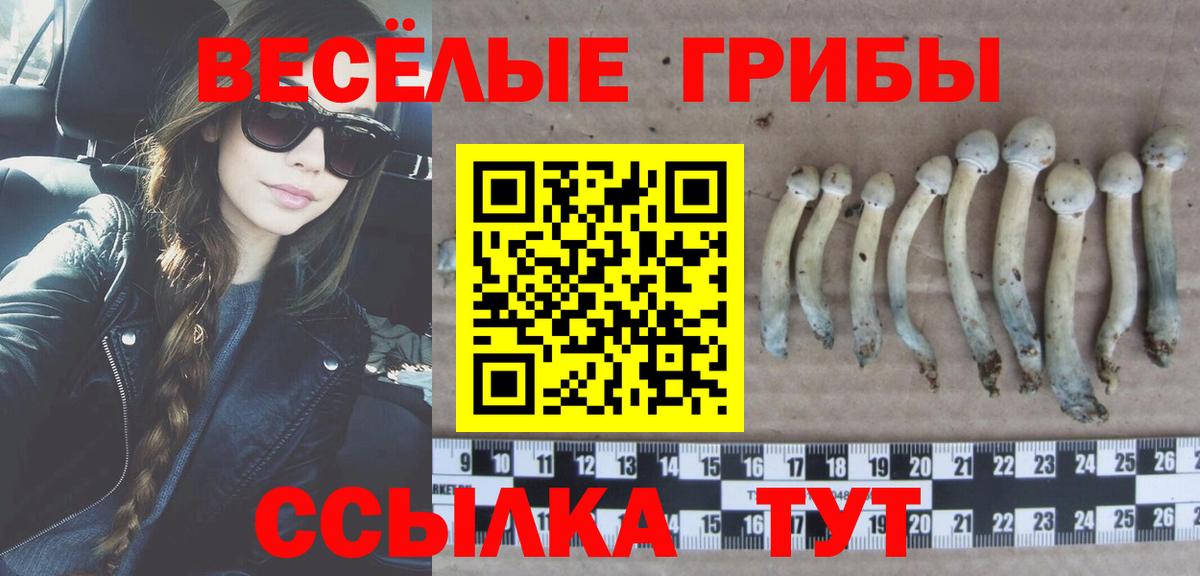 Усть-Илимск  Псилоцибиновые грибы ЛСД  закладки  Вход с VPN 