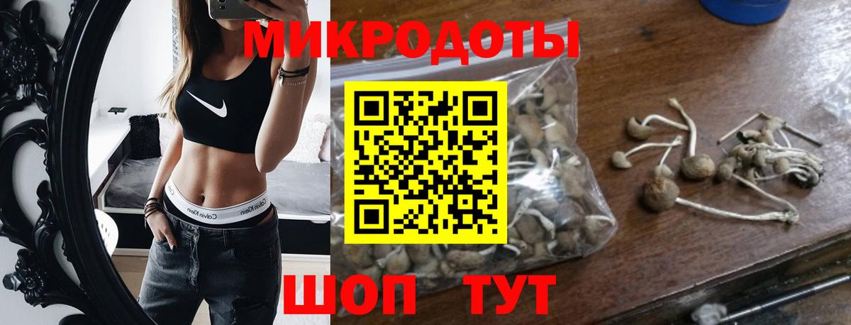 Псилоцибиновые грибы Cubensis Усть-Илимск